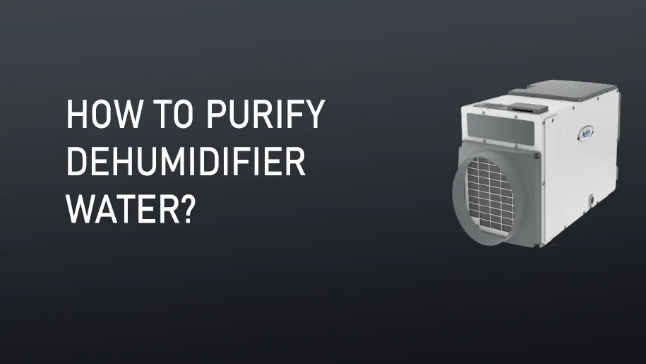 How to purify dehumidifier water?