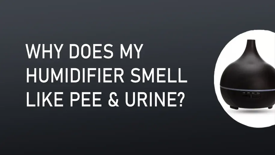 Why Does My Humidifier Smell Like Pee & Urine